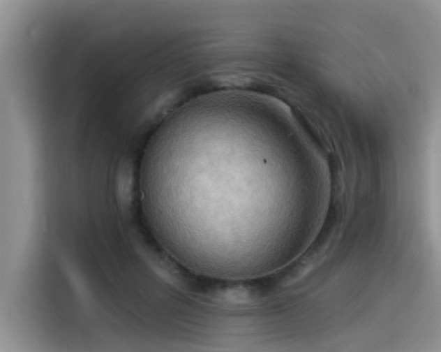X0000115430600200911121105