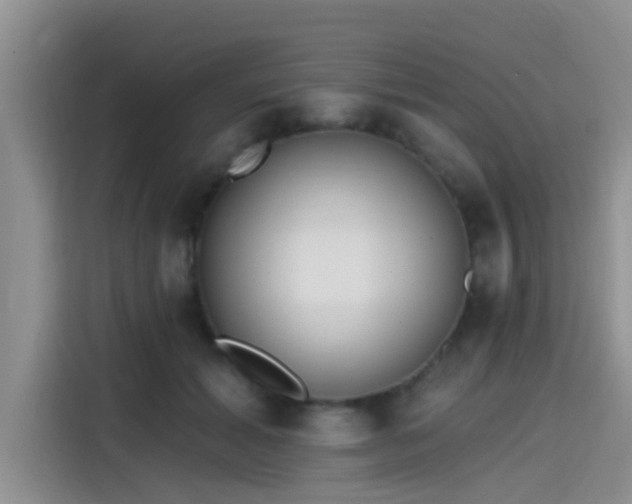 X0000115430605200911121105