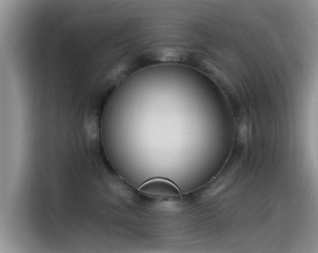 X0000115430620200911121104
