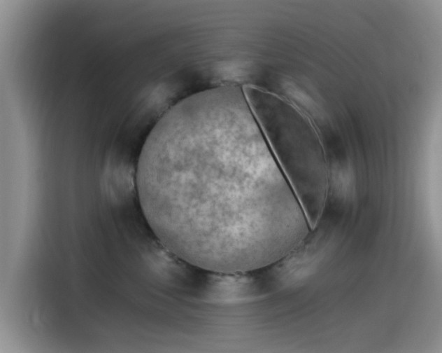 X0000115430621200911121104