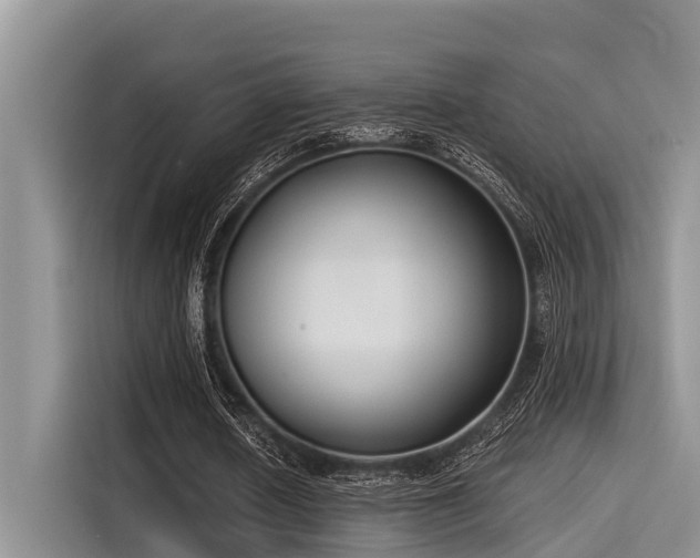 X0000115430626200911121104