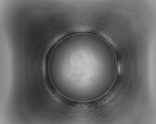X0000115430627200911121104