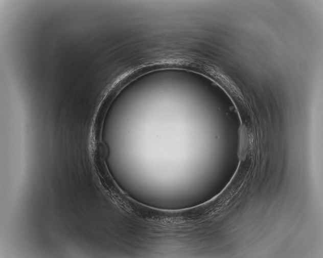 X0000115430628200911121104