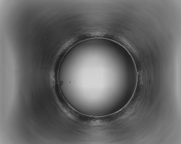 X0000115430634200911121104