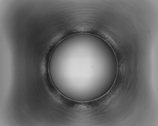 X0000115430635200911121104