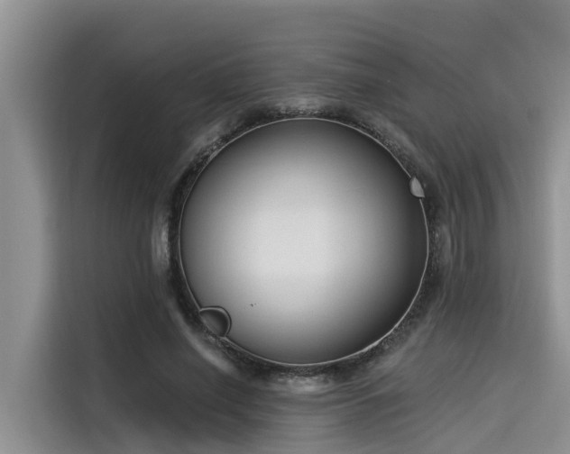 X0000115430638200911121104