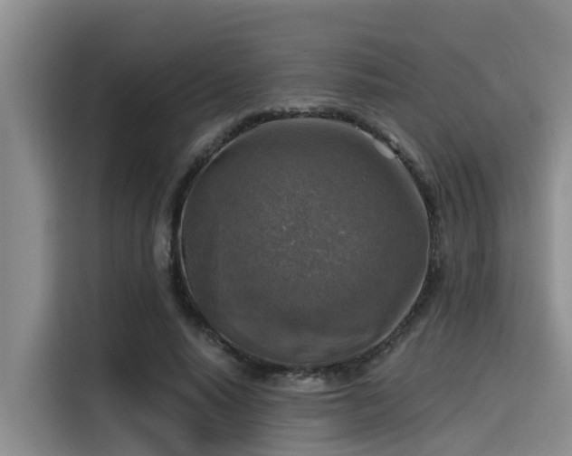 X0000115430640200911121104