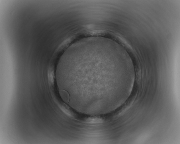 X0000115430644200911121104