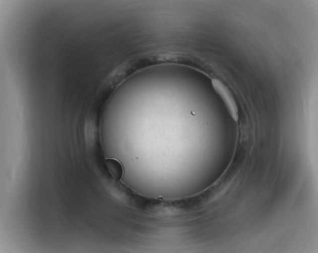 X0000115430648200911121104