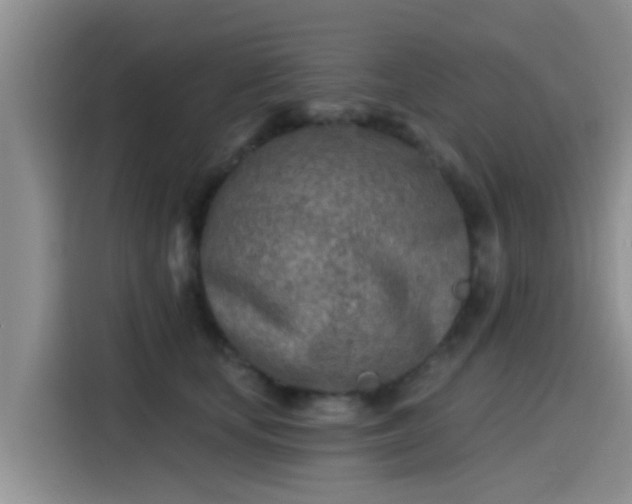 X0000115430659200911121104