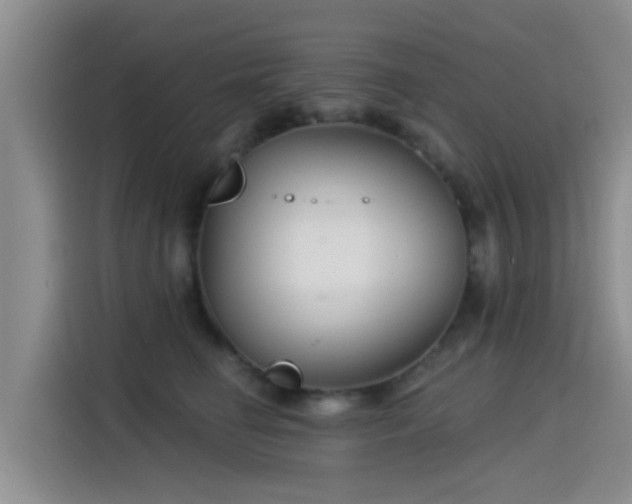 X0000115430662200911121104