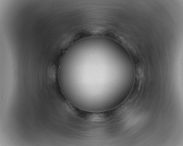 X0000115430664200911121104