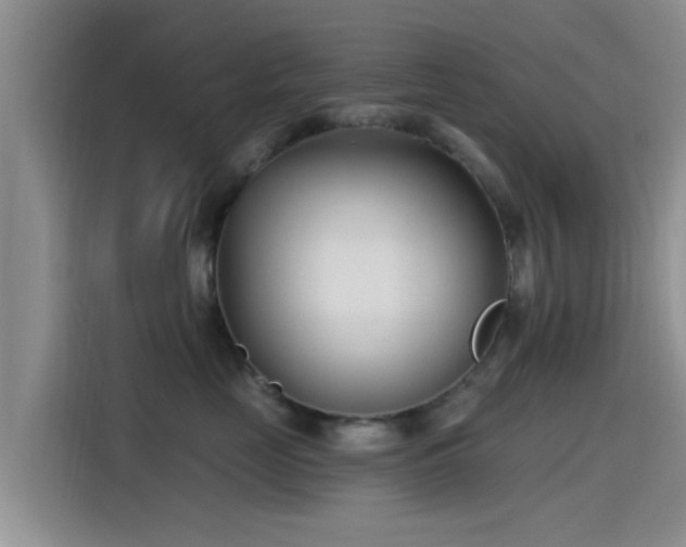 X0000115430669200911121104