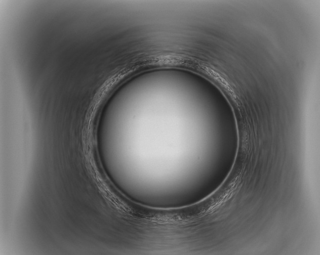 X0000115430673200911121104