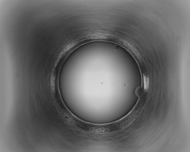 X0000115430675200911121104