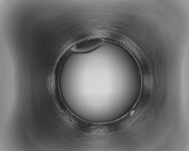 X0000115430676200911121104