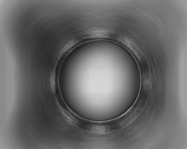 X0000115430677200911121104