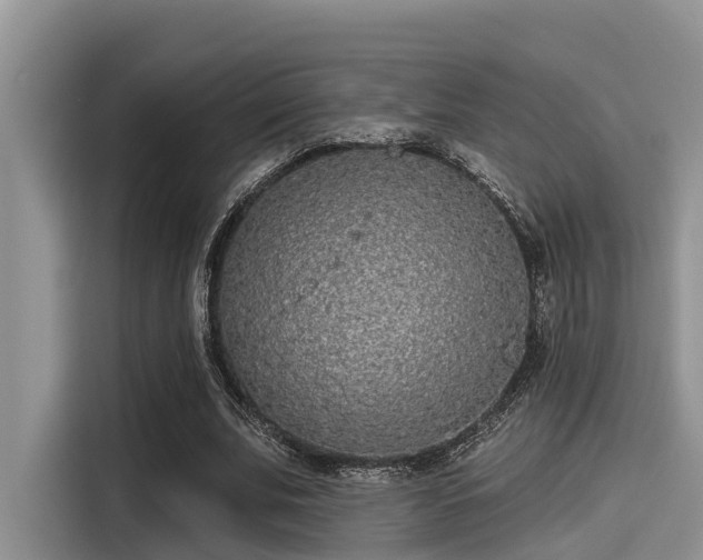 X0000115430679200911121104
