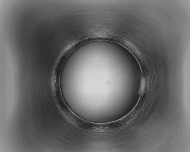 X0000115430680200911121104