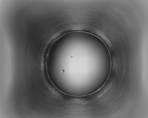 X0000115430681200911121104