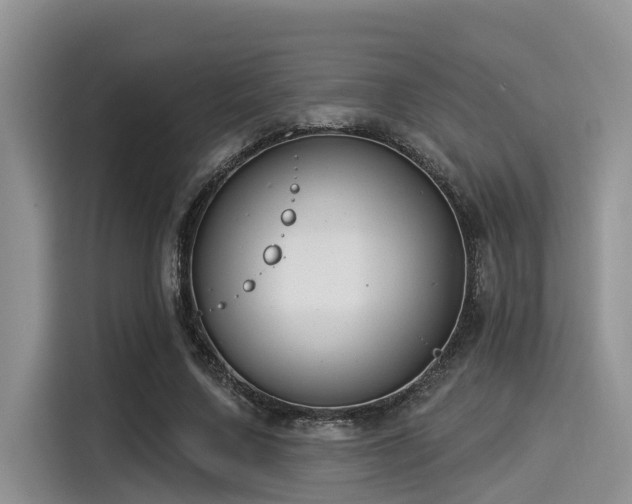 X0000115430683200911121104
