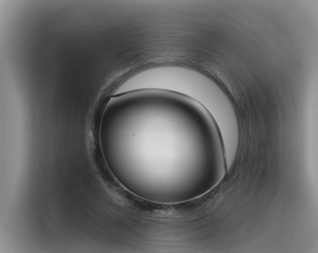 X0000115430688200911121103