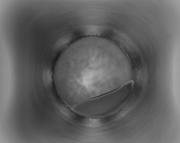 X0000115430692200911121103