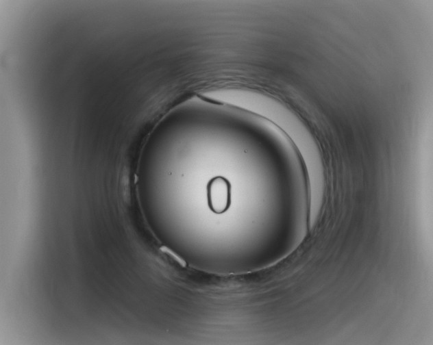 X0000115430696200911121103