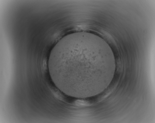 X0000115430699200911121103