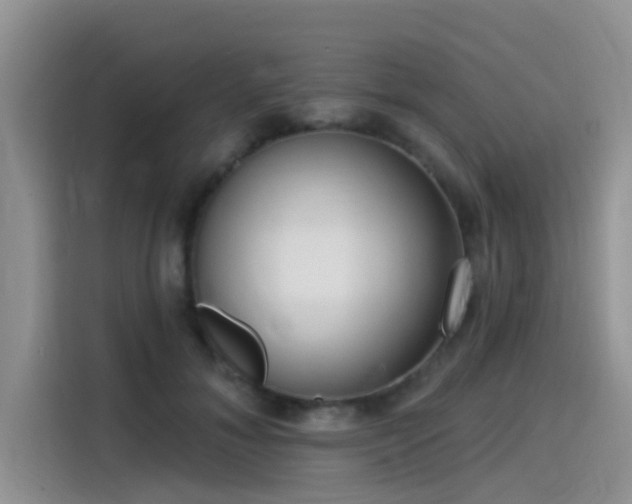 X0000115430700200911121103