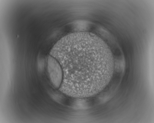 X0000115430701200911121103