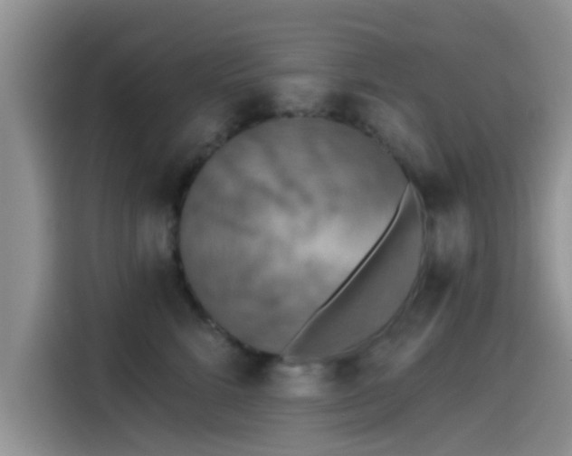 X0000115430712200911121103