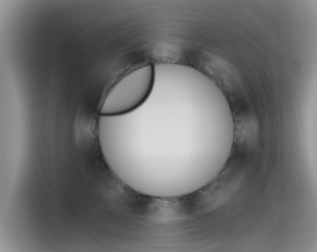 X0000115430713200911121103