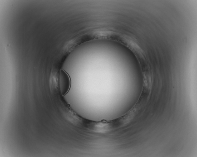 X0000115430718200911121103