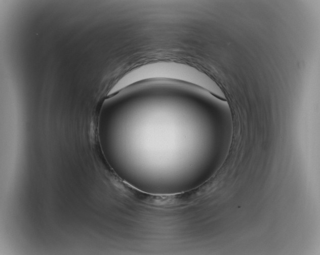 X0000115430720200911121103
