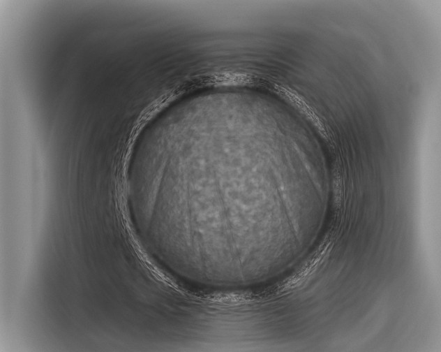 X0000115430721200911121102