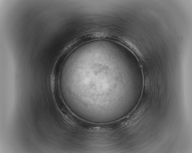 X0000115430722200911121102