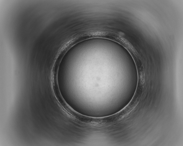 X0000115430725200911121102