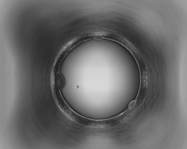X0000115430726200911121102