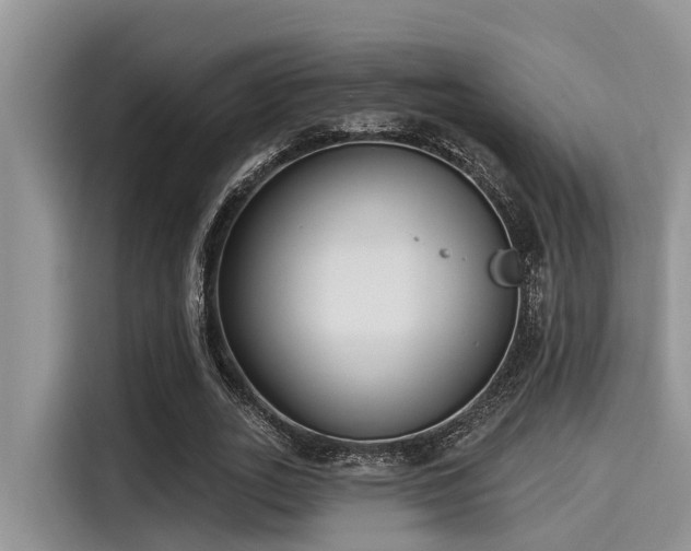 X0000115430727200911121102