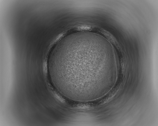 X0000115430729200911121102