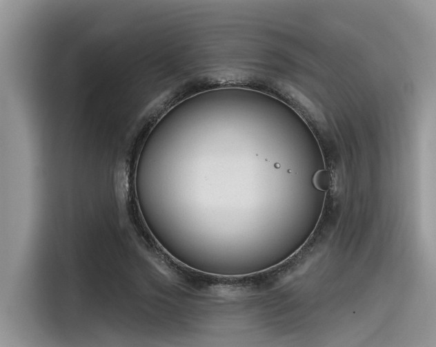 X0000115430733200911121103