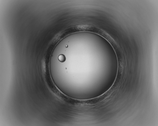 X0000115430734200911121103