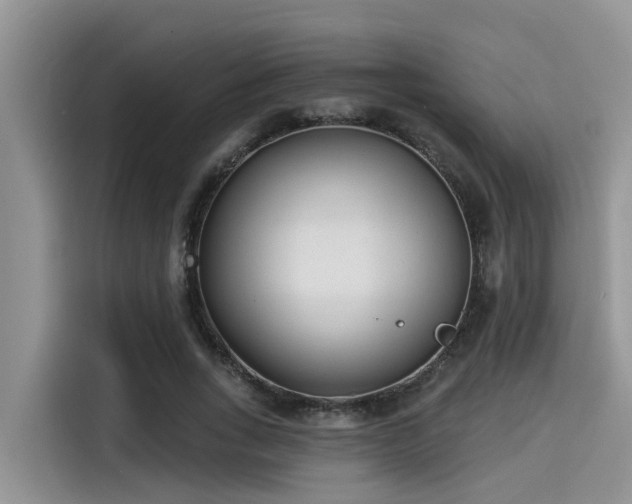 X0000115430735200911121103