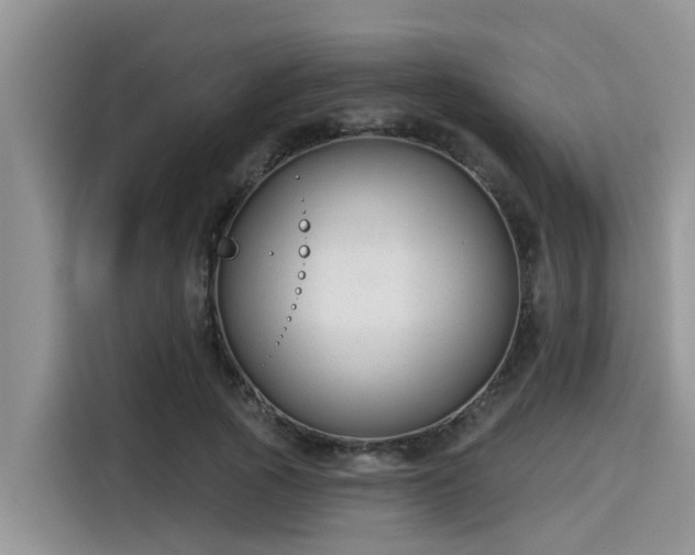 X0000115430737200911121103