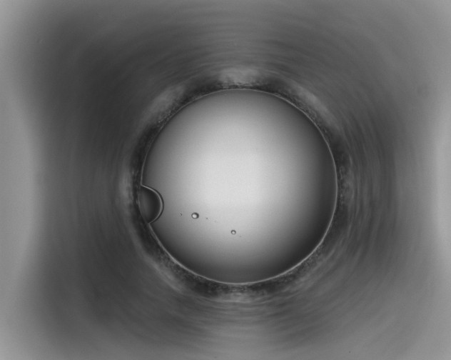X0000115430738200911121103