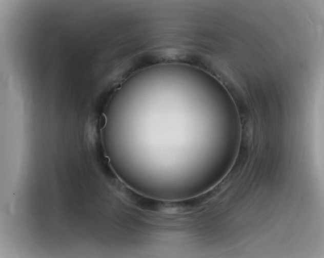 X0000115430746200911121103