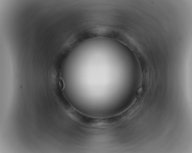 X0000115430750200911121103