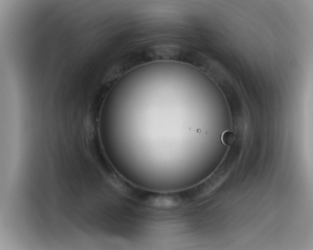 X0000115430751200911121103