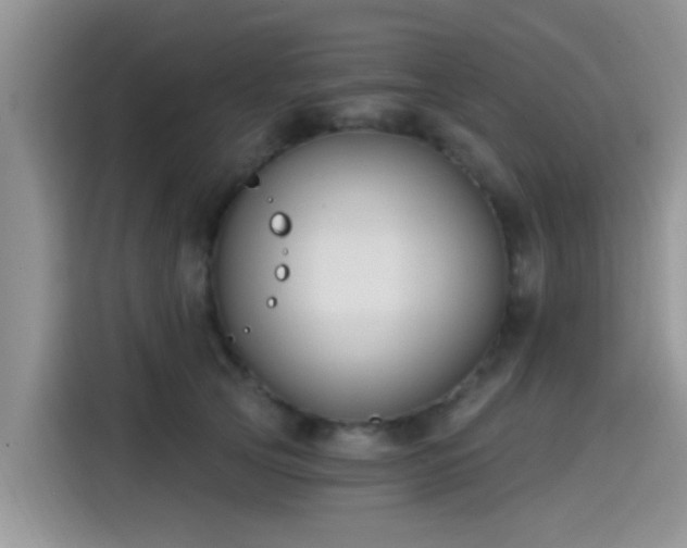 X0000115430753200911121103